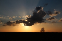 Sunset (Nieuw Buinen, the Netherlands)